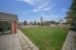 THE CONIFERS- click for photo gallery